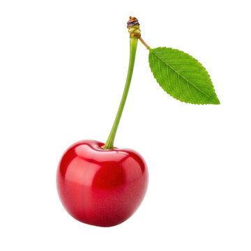 Fresh red cherry with green leaf isolated on transparent background