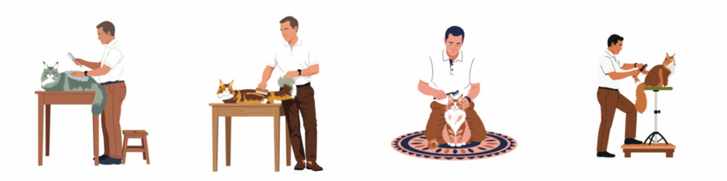 Set of flat vector illustrations depicting a male groomer brushing and caring for Maine Coon cats in various positions on a white background.