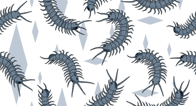 Intricate seamless pattern featuring dark grey centipedes and light blue geometric diamond shapes on a clean white background.