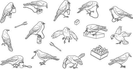 Obraz premium Crows interacting with objects set featuring birds using tools and urban items illustrated in detailed line art style for concept design