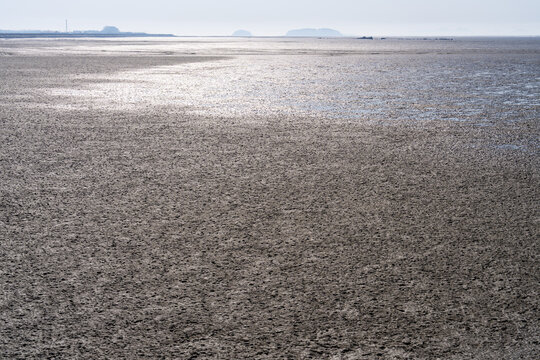 Natural Texture of Wet Mudflat with Clear Coastal Horizon
