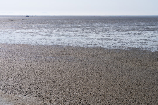 Natural Texture of Wet Mudflat with Clear Coastal Horizon