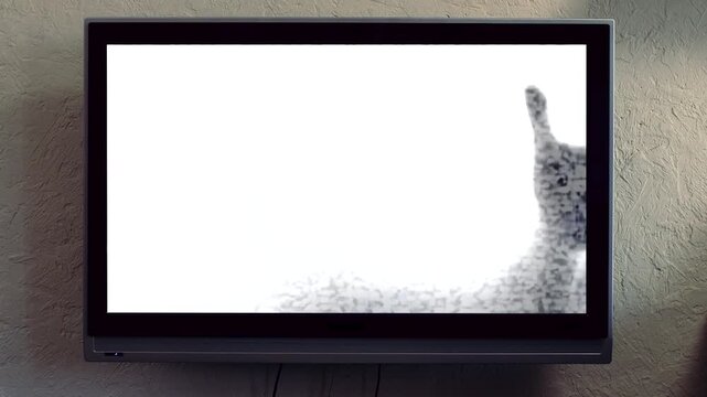 Suspenseful Scene Of Ghostly TV Broadcast. Eerie Silhouette Appearing On Flickering Television Screen . Media