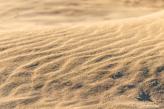 Wind shaped rippled sand surface in warm sunlight forming natural desert texture background