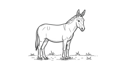 Fototapeta premium A detailed line art illustration of a standing donkey with its head turned to the right side set against a clean white background in a simple monochrome style.