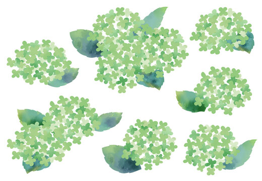 水彩風で描いた紫陽花のイラストセット