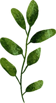 Green watercolor leaf sprig