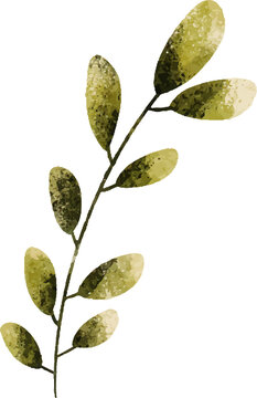 Watercolor olive branch with textured leaves