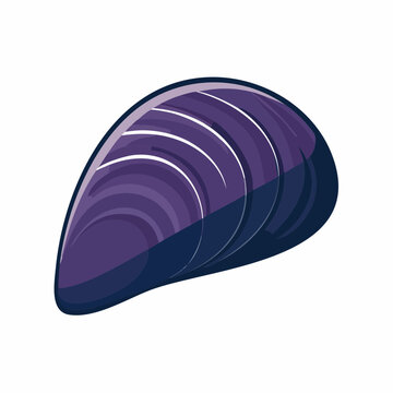 Stylized Illustration of a Single Mussel Shell