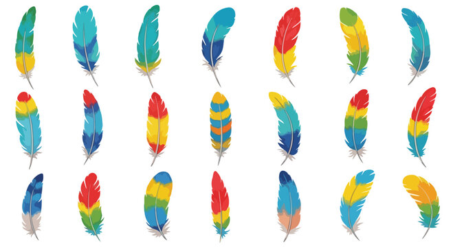 A vibrant collection of stylized tropical bird feathers, featuring diverse colorful patterns and individual shapes.