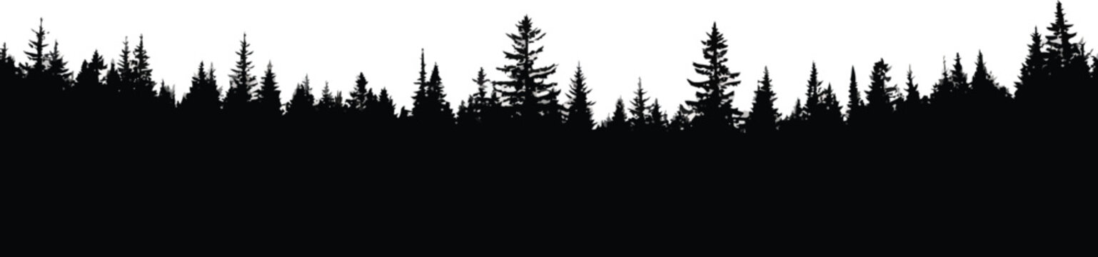 Black Forest Silhouette on White Background