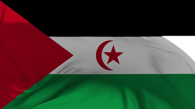 Western Sahara Flag Waving in Slow Motion Loop Animation