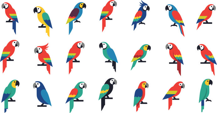 Colorful parrot icons vector set with various macaw species and simple flat bird illustrations for wildlife design and app UI