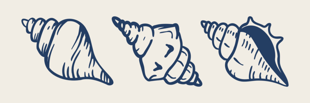 Hand drawn seashell border composition in doodle outline style. Minimal marine line art arrangement. Perfect for coastal design, packaging, invitations and summer layouts.