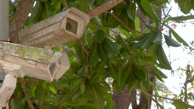 Weathered Security Cameras Mounted on Pole in Tropical Krabi Thailand
