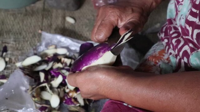 the hands of a housewife, a Javanese woman, who is peeling an eggplant in her traditional kitchen, cooking processing