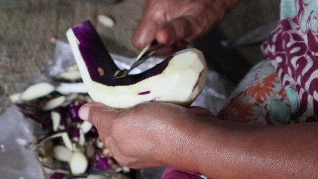 the hands of a housewife, a Javanese woman, who is peeling an eggplant in her traditional kitchen, cooking processing