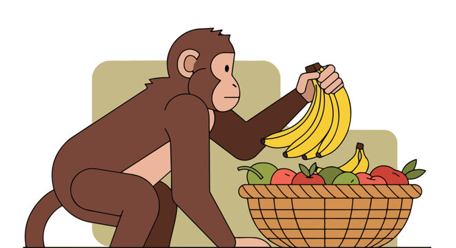 A brown monkey reaches out to grab a bunch of yellow bananas from a fruit basket