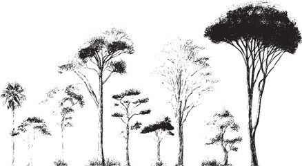 Obraz premium Architectural tree drawings with roots in minimal CAD style