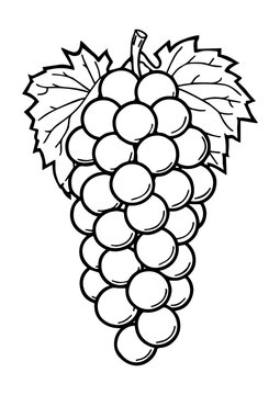 Grapes Coloring Page, A4 Size Printable