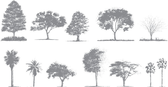 Architectural tree drawings with roots in minimal CAD style
