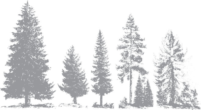 Dark forest landscape with ink splatter and rough texture