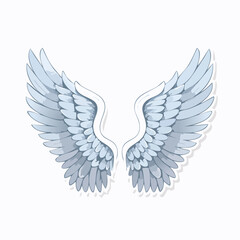 Fototapeta premium Pair of Angel Wings