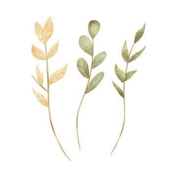 Set of twig branches, green plants, leaves. Watercolor illustration hand-drawn in children's vintage style, clip art, element isolated from background for design cards posters nursery decor, clothing