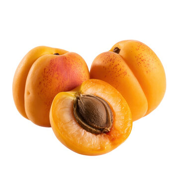 Fresh whole apricots and one halved apricot showing the pit isolated on a white background
