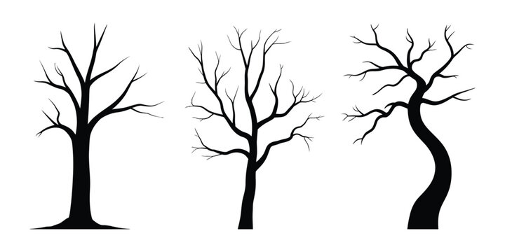 Three black bare trees on white background silhouette