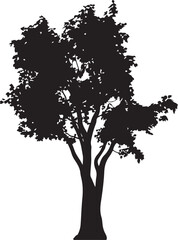 Black silhouette of a tall evergreen tree isolated on white background. Tree Silhouette Illustration © BULBULI