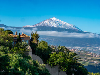 View of Mount Teide, near La Matanza, with palm trees in the foreground. © Albert Schweitzer