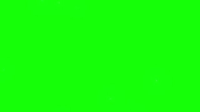 green screen with leafy floral border design
