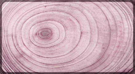Fototapeta premium Anneau de croissance du bois