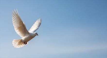 Obraz premium Bird flying in clear blue sky with wings spread wide, freedom concept, minimal background, natural lighting, high detail, ultra HD