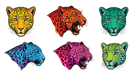 leopard heads collection colorful engraving style illustration on white background © Sonjita