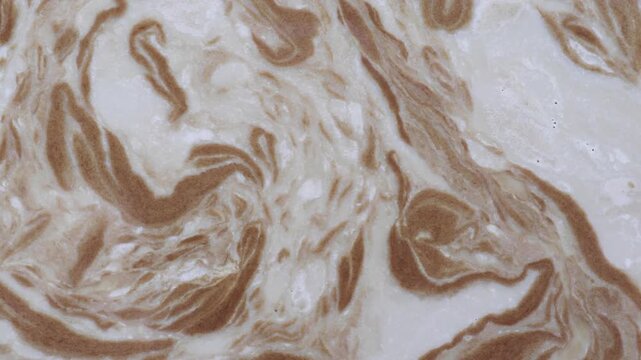 abstract coffee and milk foam swirl texture background