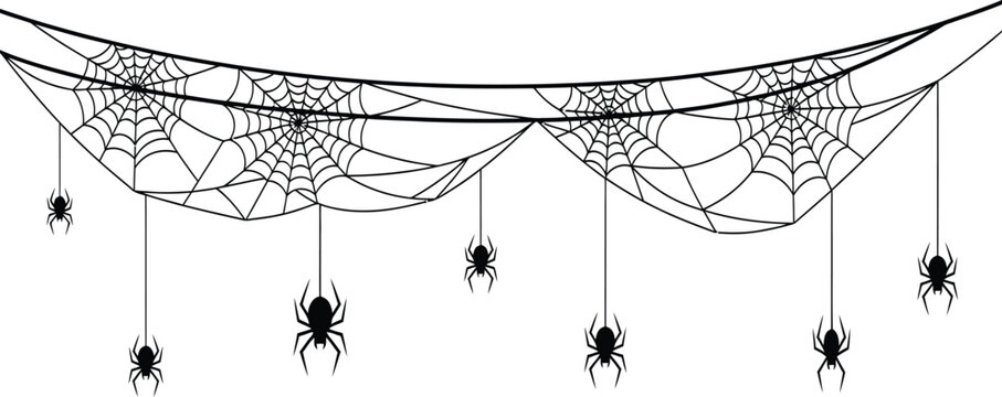 Halloween spiderwebs and spiders black line art on white background