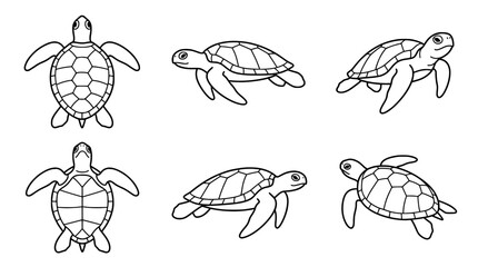 Obraz premium Line art turtle collection perfect for educational design use.