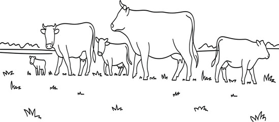 Line art vector illustration of a cow herd grazing in a rural meadow, farm animals background © Moksedul
