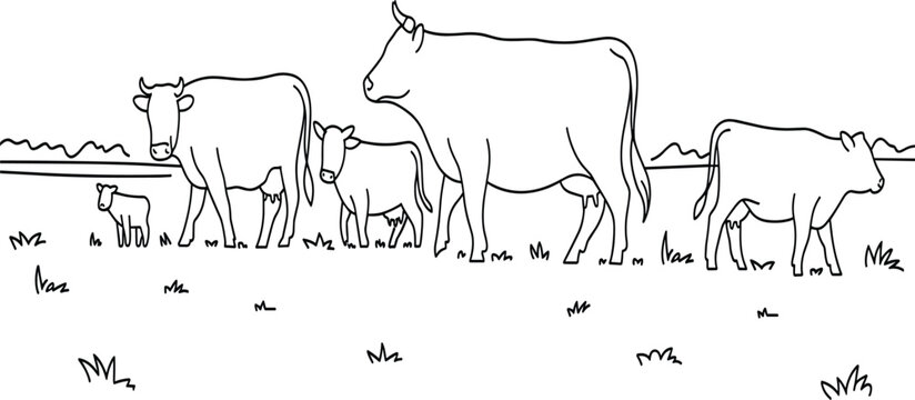 Line art vector illustration of a cow herd grazing in a rural meadow, farm animals background