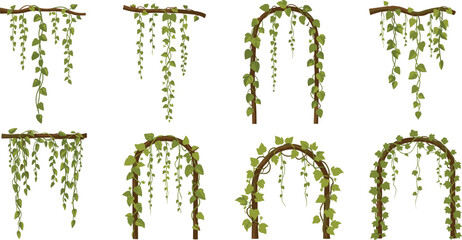 Green Ivy Vines with Wooden Frames and Arches for Garden, Nature, and Decorative Illustrations © Lipi