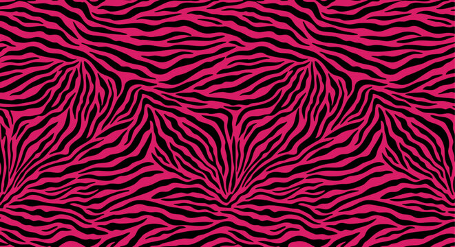 Abstract zebra stripe pattern, pink and black vector illustration