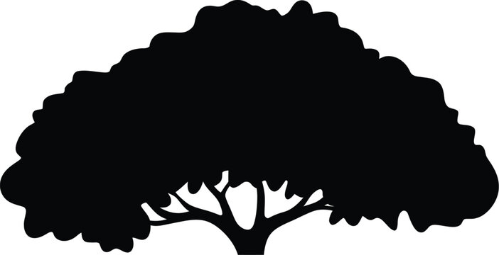 Large tree silhouette with wide canopy vector illustration black nature element isolated on light background organic shape minimal design
