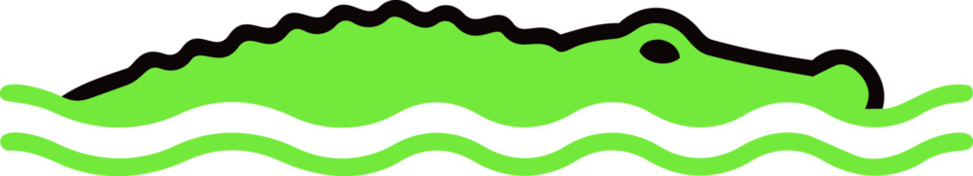 Alligator Swimming