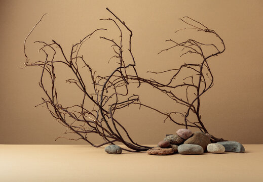 An intricately entwined branches and smooth stones against a beige background.