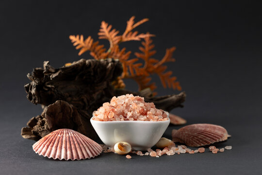 Pink himalayan salt with snags, thuja branches, and seashells.