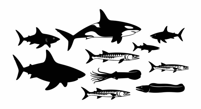 Black silhouettes of various ocean fish.