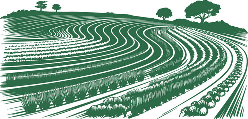 Agricultural farmland landscape with curved crop rows and rolling hills in vintage green illustration © Monjurul