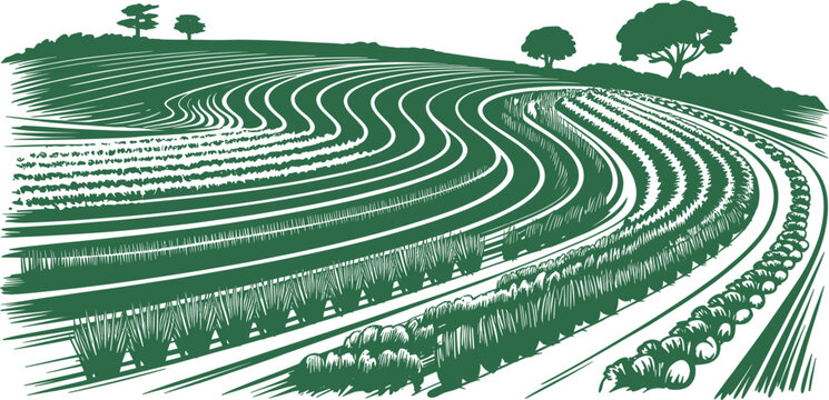 Agricultural farmland landscape with curved crop rows and rolling hills in vintage green illustration